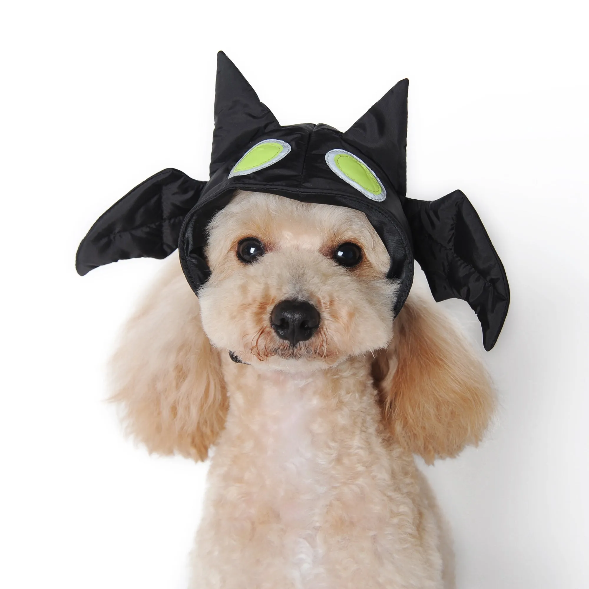 Bat Hat