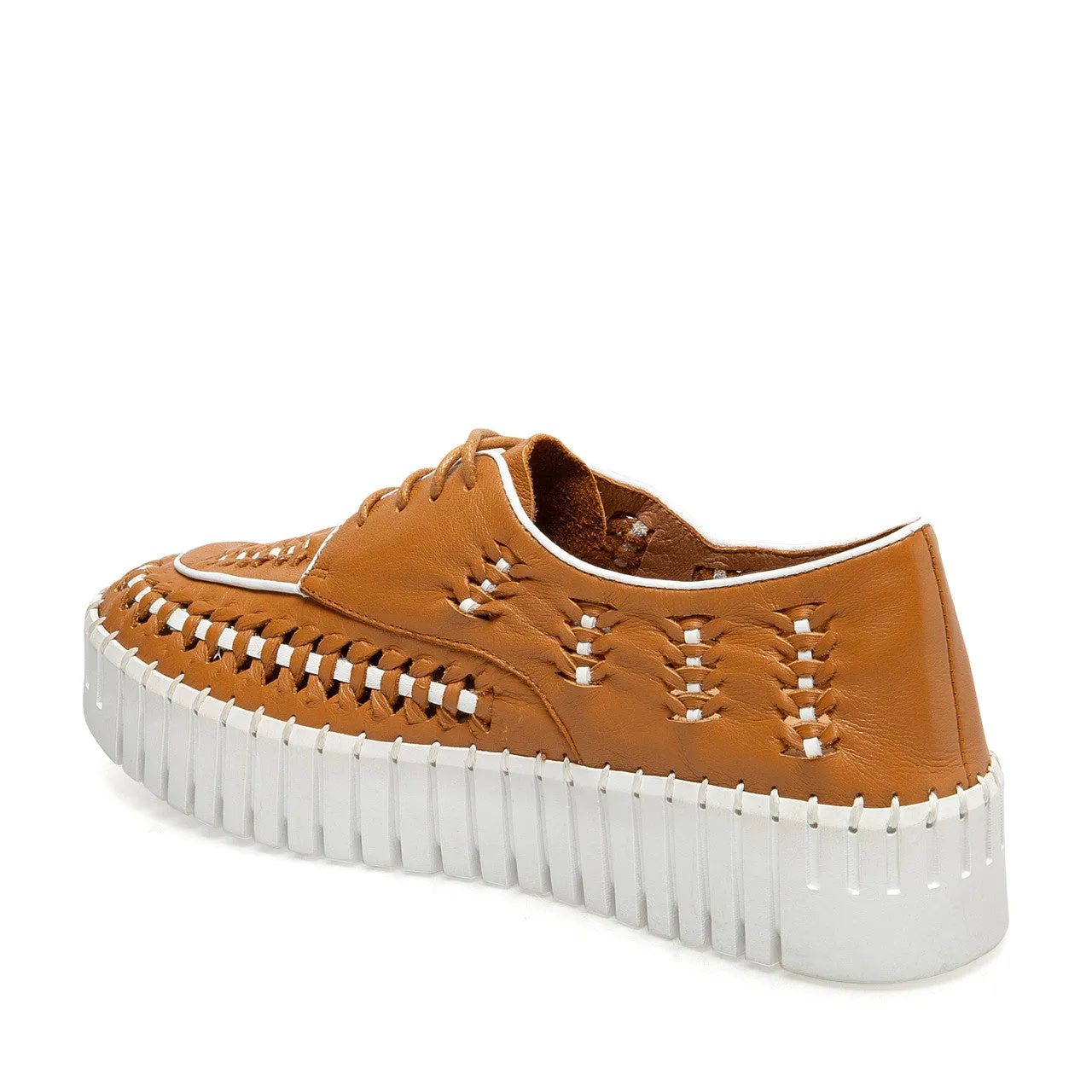 Brodies Sneakers - Tan / White