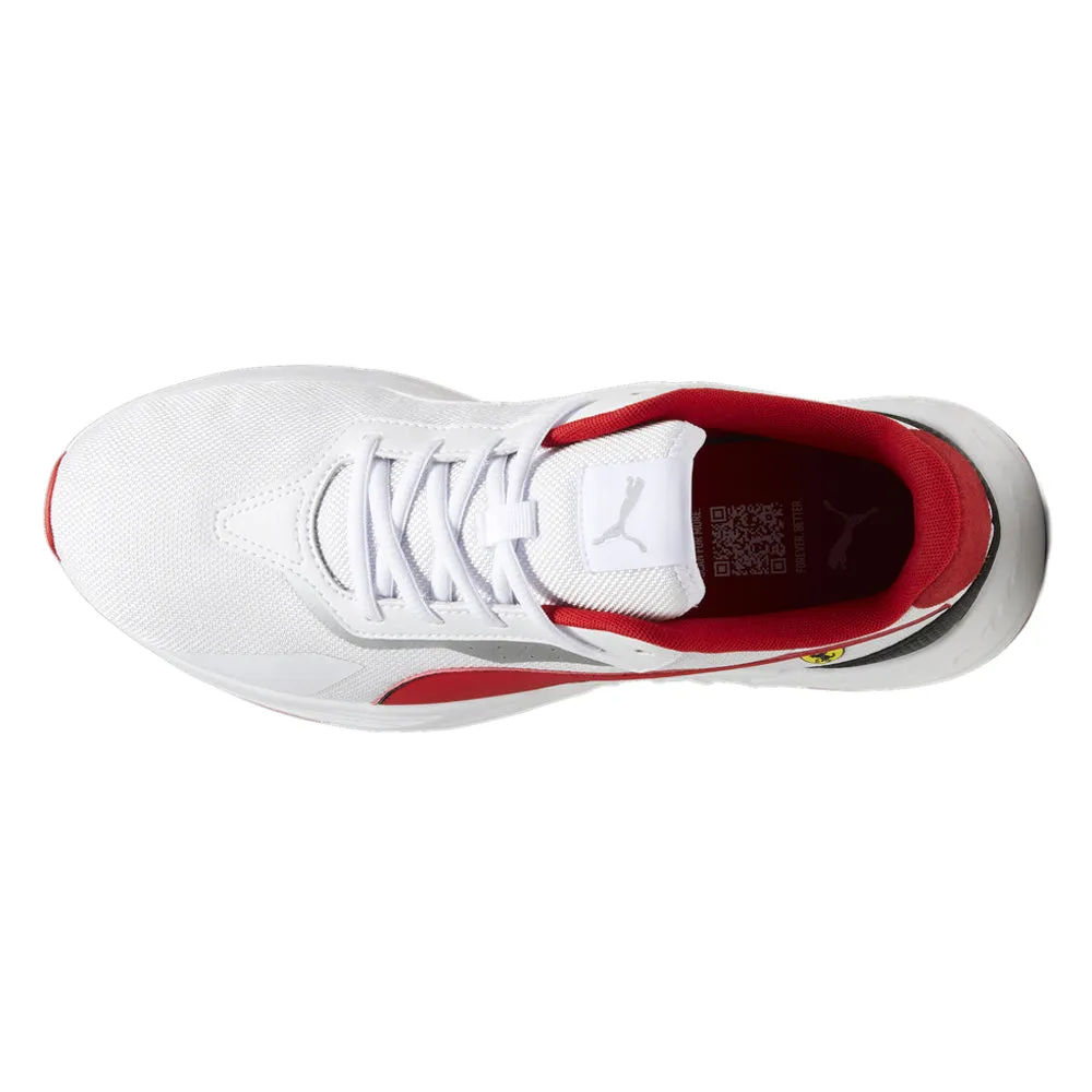 SF Tiburion Lace Up Sneakers