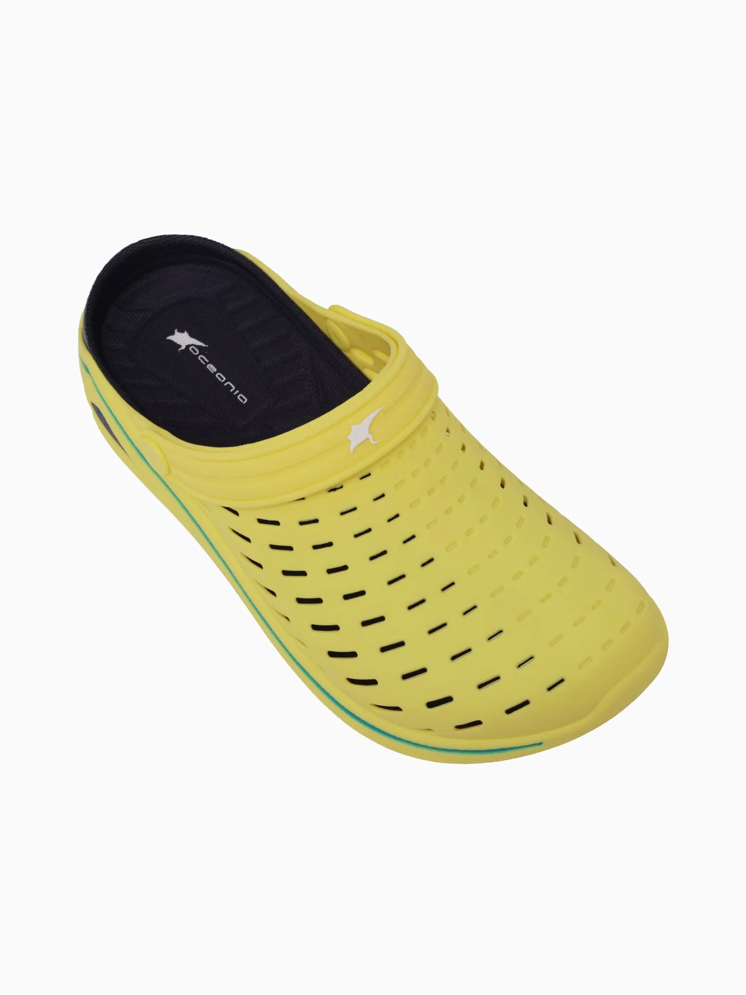 Wakeboard Pineapple Black